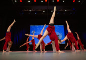 img 9455 1