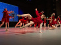 img 9506 1