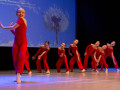 img 9649 1